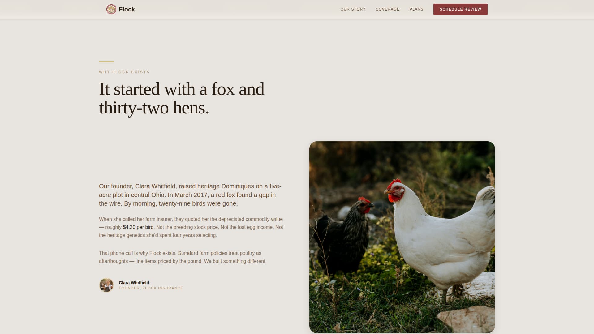 Chicken & Poultry Booking Website Template