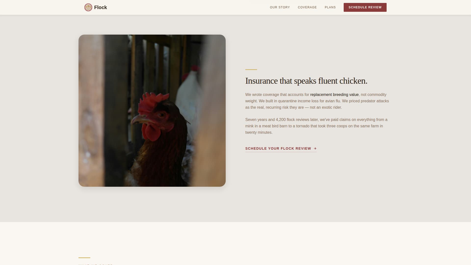 Chicken & Poultry Booking Website Template