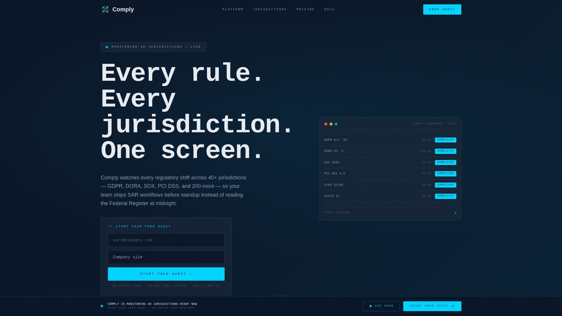 Software & SaaS Privacy Policy Website Template