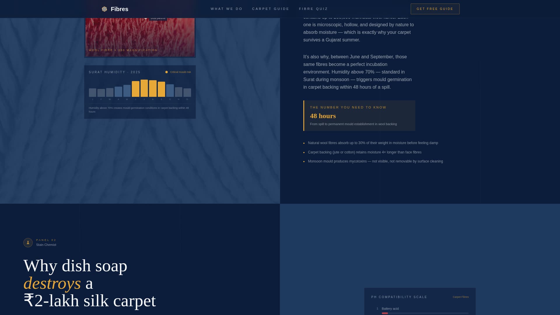 Fibres - Authoritative Carpetcleaning Landing Page Template