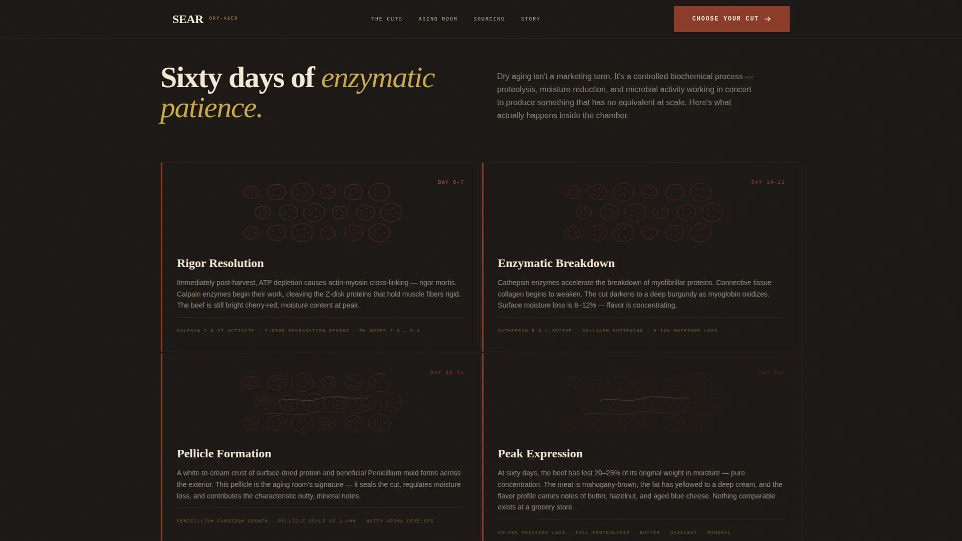 Meat & Seafood Pricing Website Template