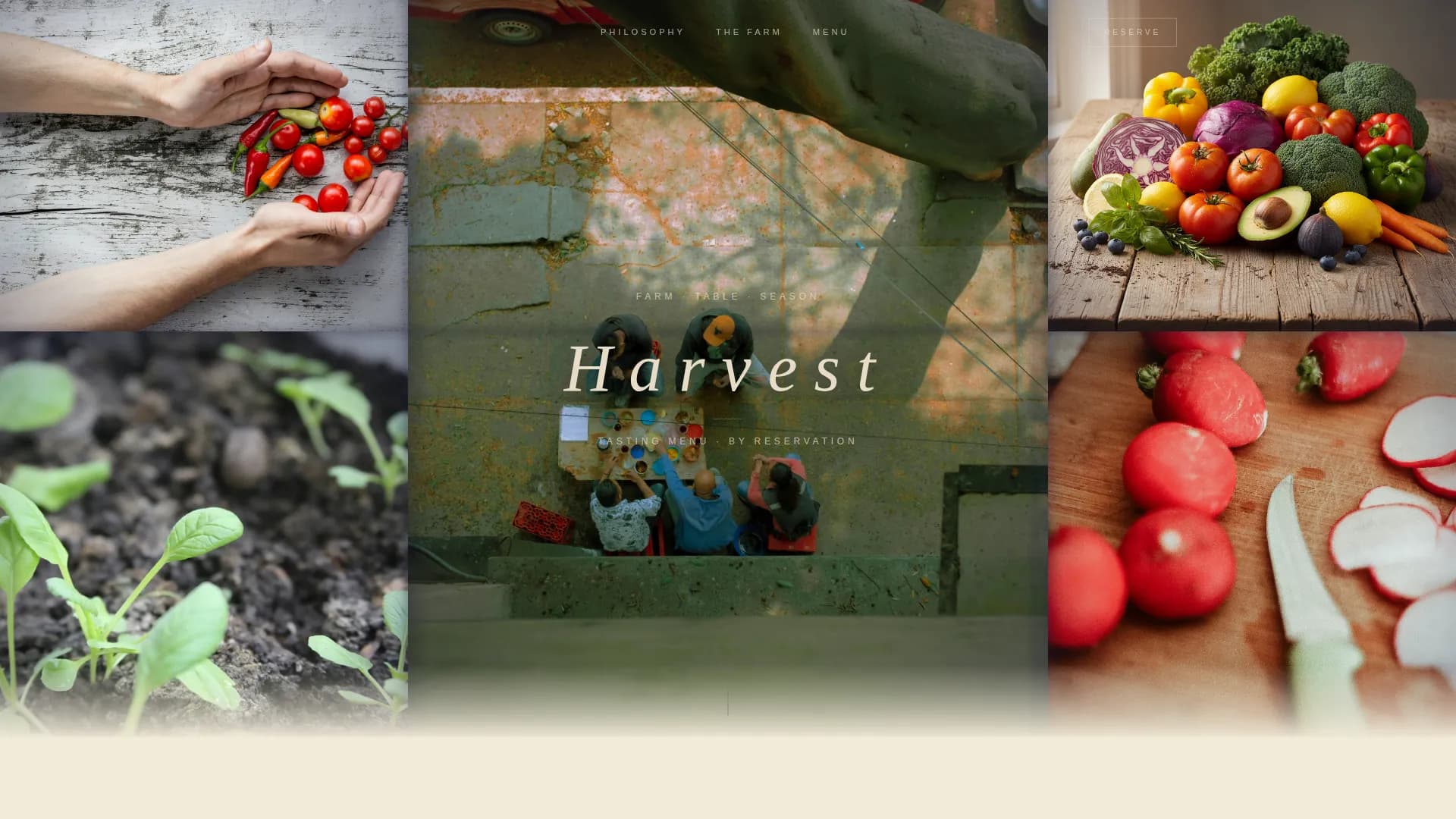 Restaurant & Dining Specialist Professional Website Template
