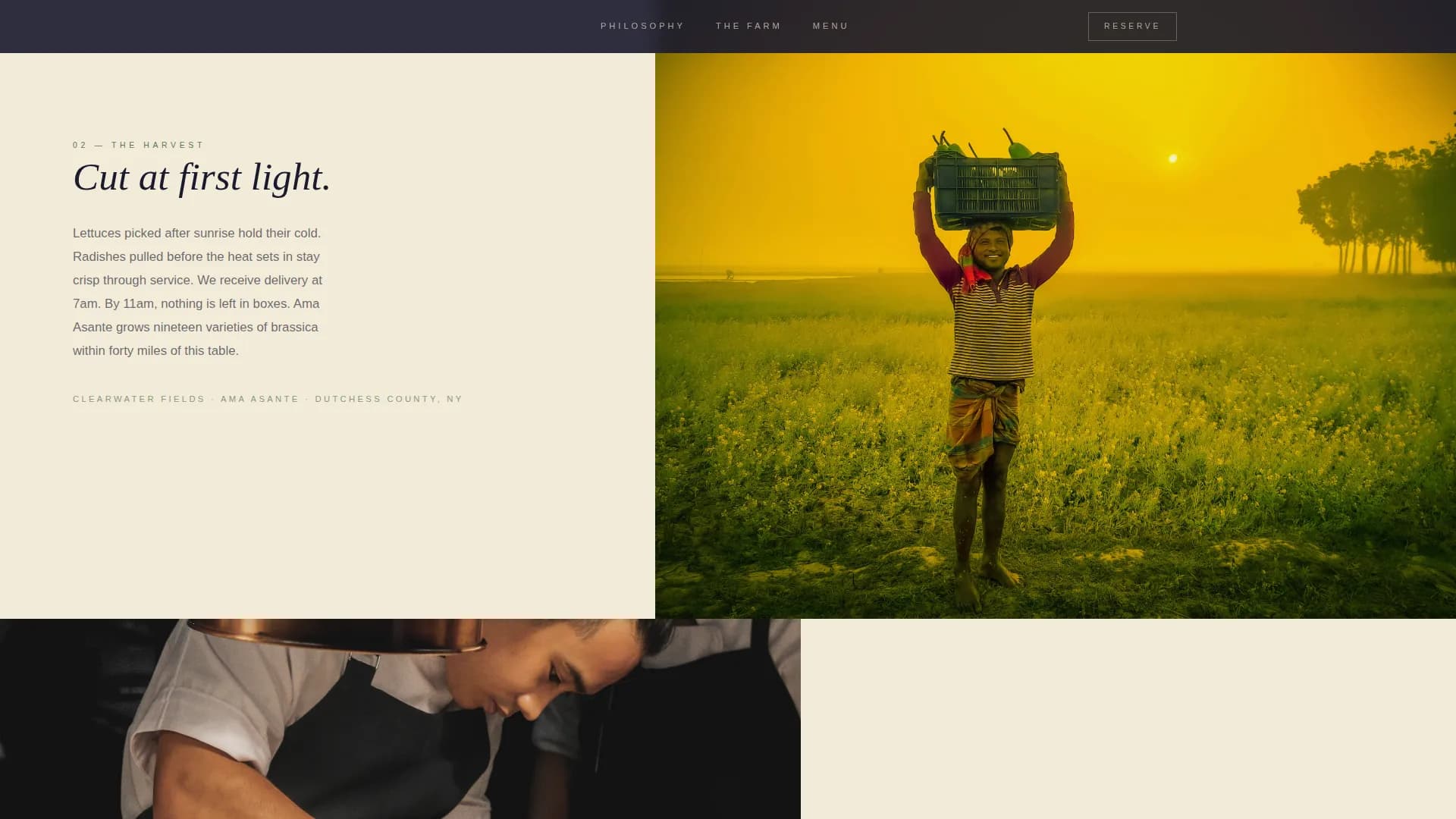 Restaurant & Dining Specialist Professional Website Template