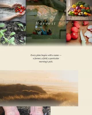Restaurant & Dining Specialist Professional Website Template