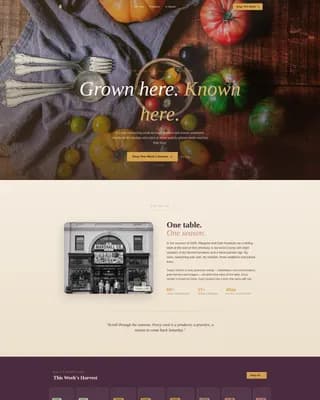 Grocery & Food Retail Professional Website Template