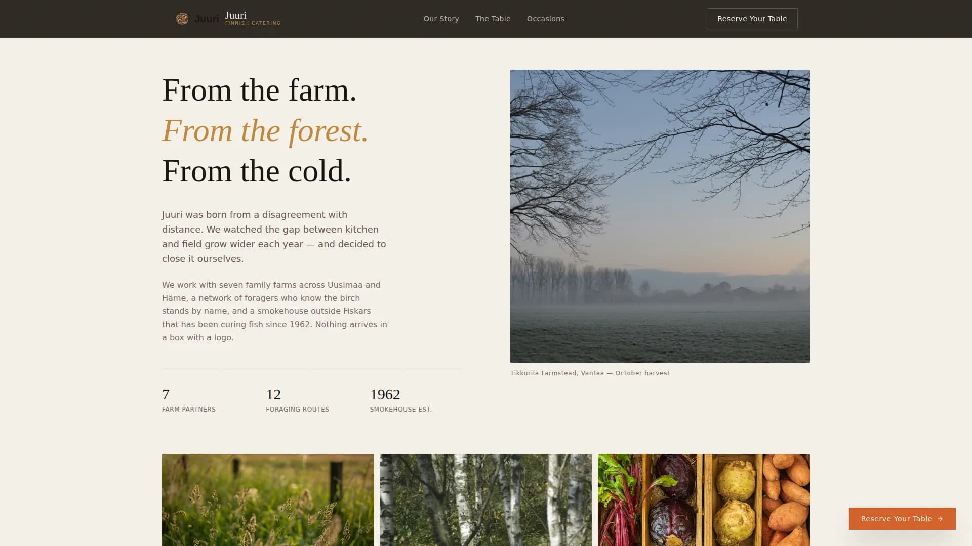 Juuri - Artisan Finnish Catering Landing Page Template