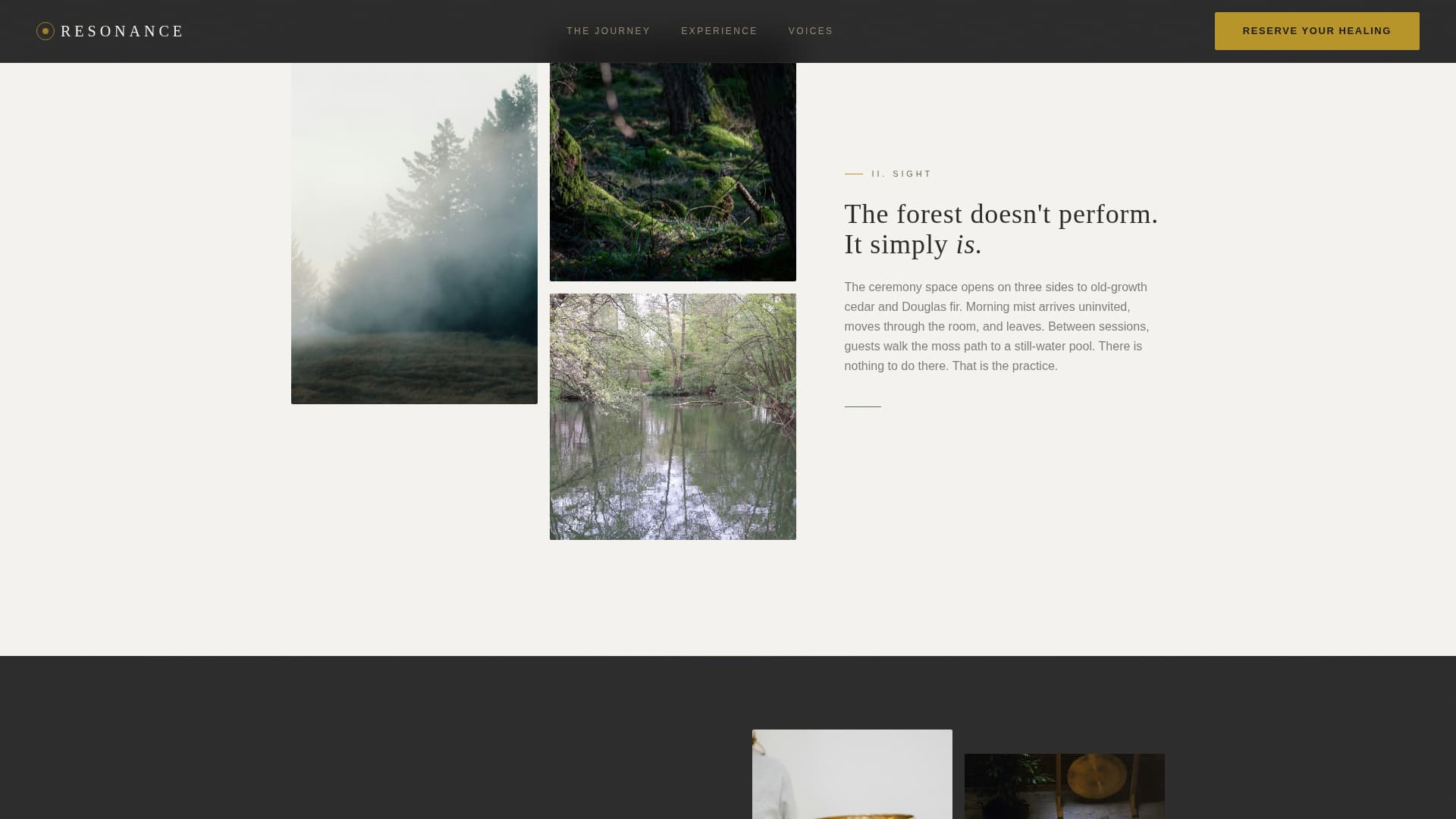 Wellness Modalities Booking Website Template