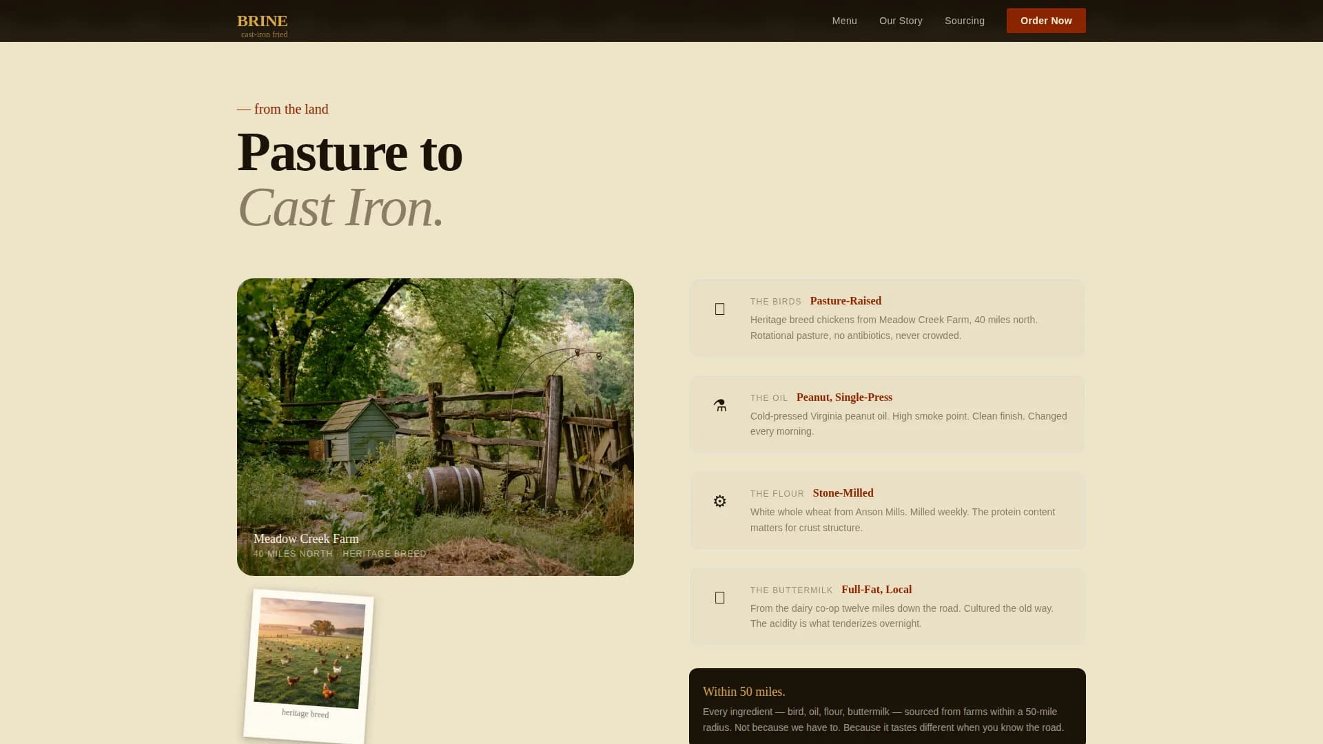 Street Food & Market Stall Professional Website Template