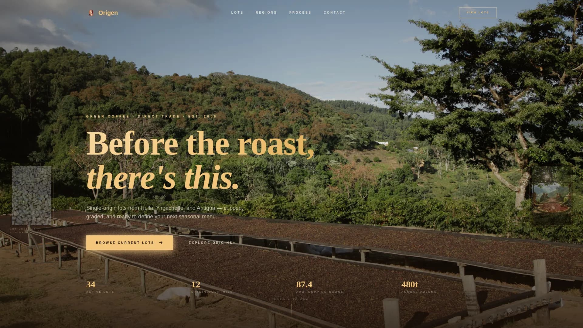 Harvest — Premium Specialty Coffee Landing Page Template