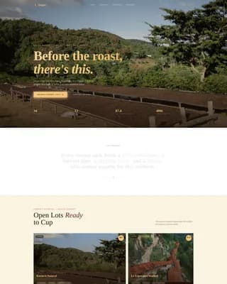 Harvest — Premium Specialty Coffee Landing Page Template