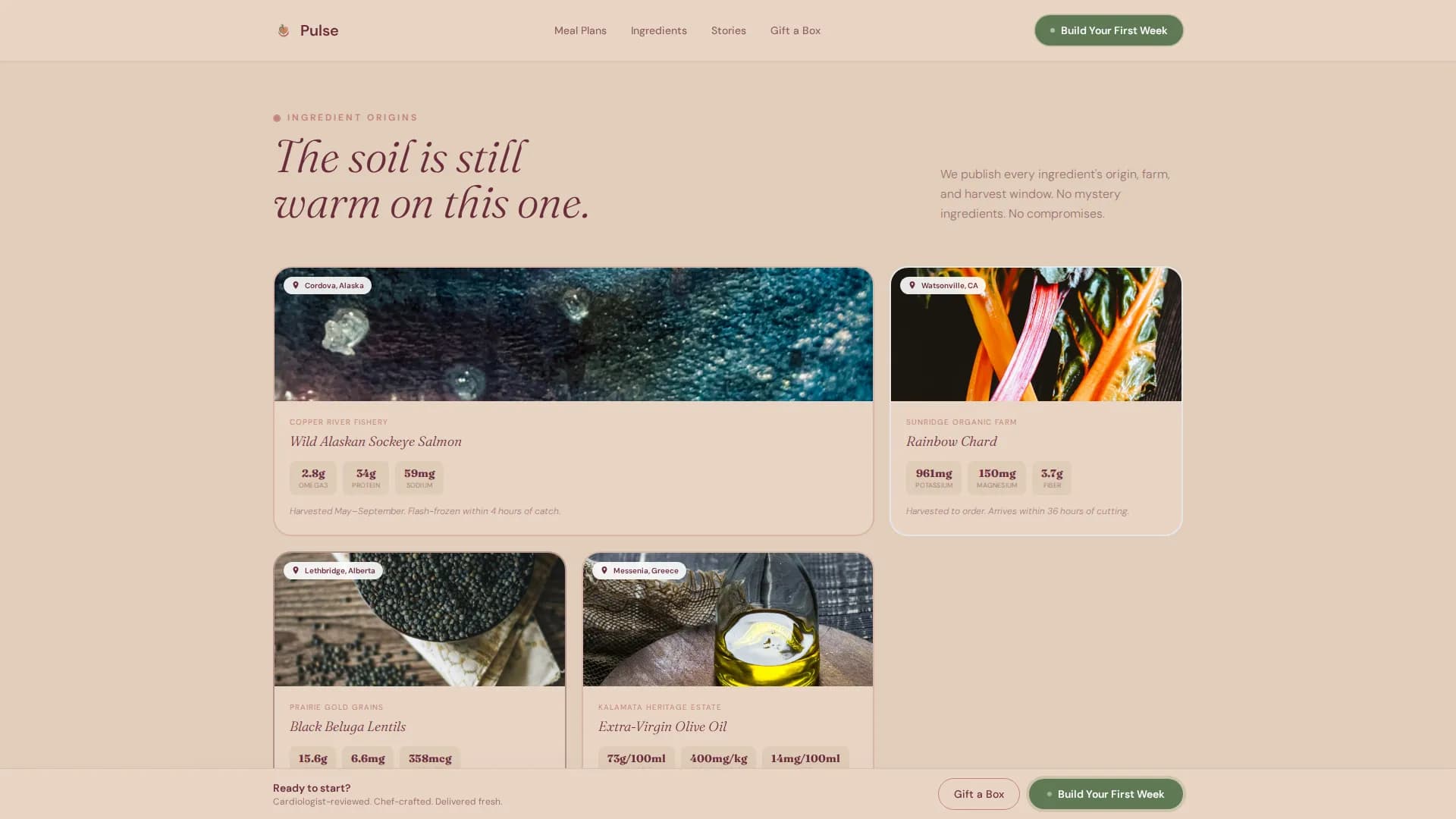 Pulse — Expert Wellness Catering Landing Page Template