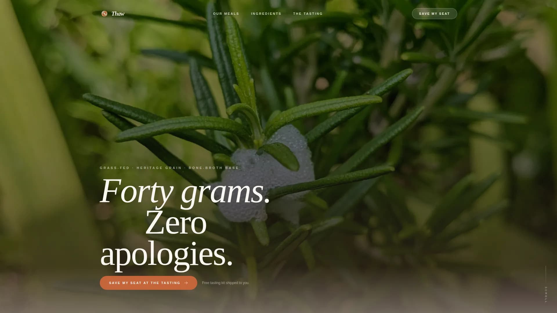 High-Protein Food & Dining Professional Website Template