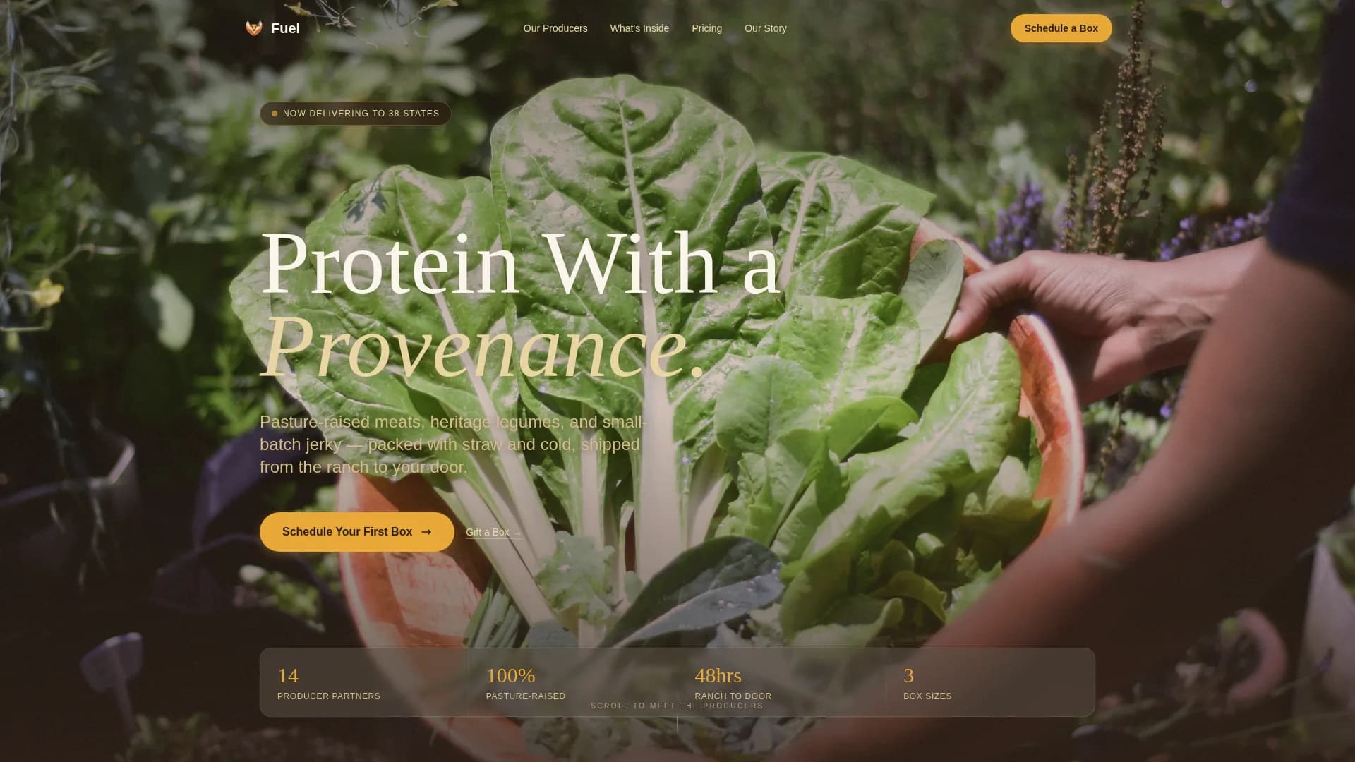 High-Protein Food & Dining Specialist Reviews Website Template