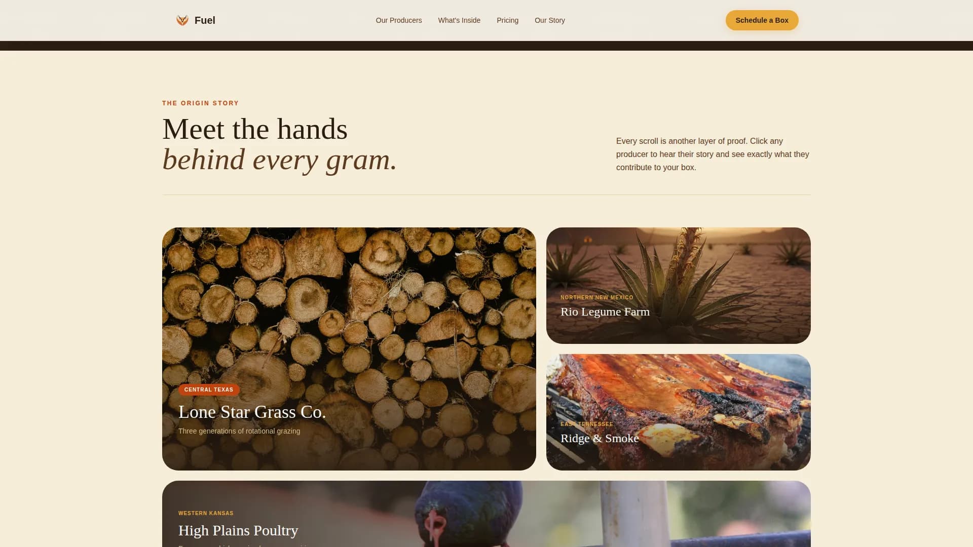 High-Protein Food & Dining Specialist Reviews Website Template