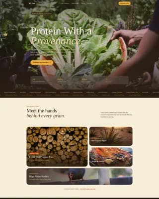 High-Protein Food & Dining Specialist Reviews Website Template