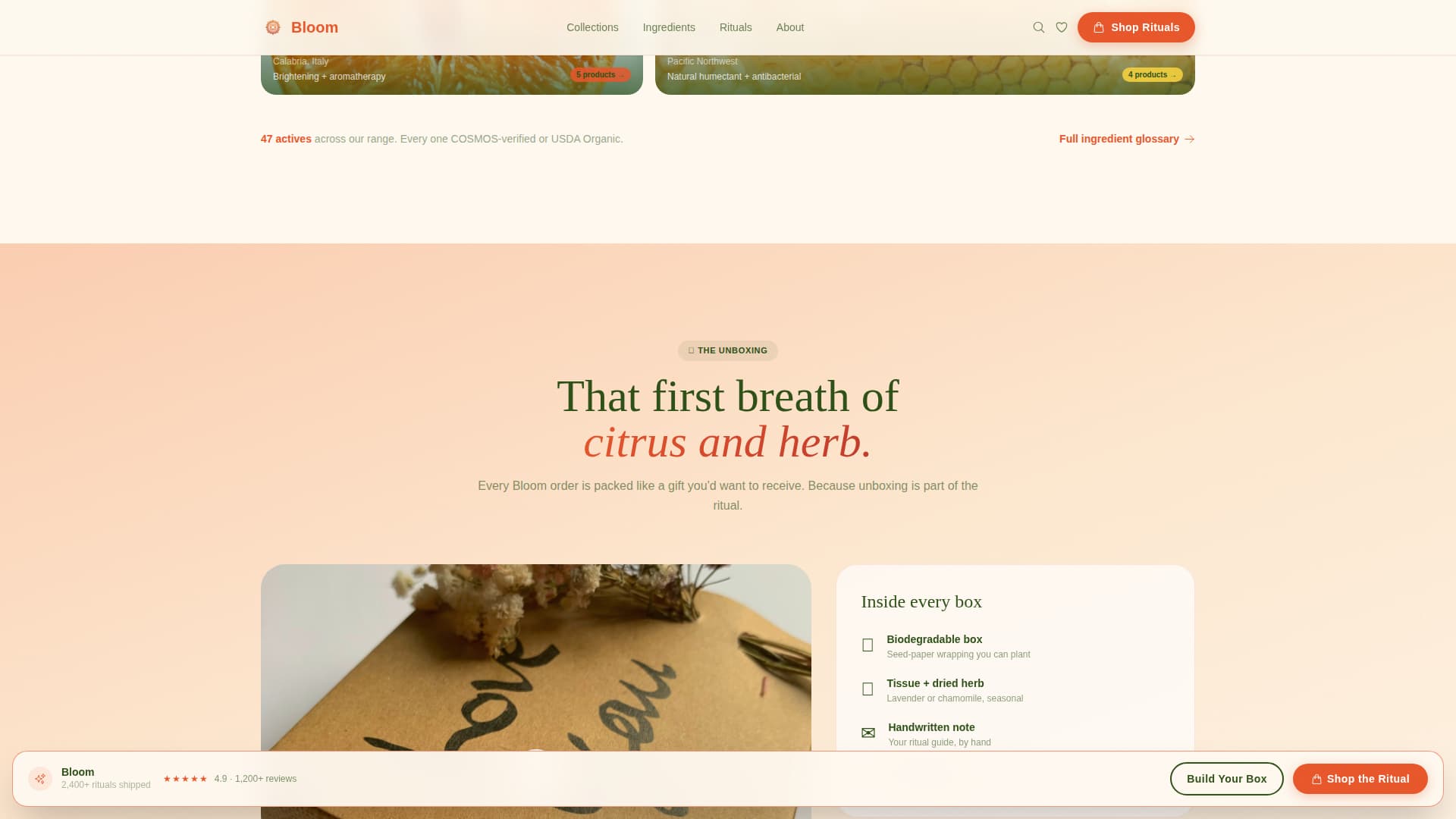 Beauty E-Commerce Pricing Website Template