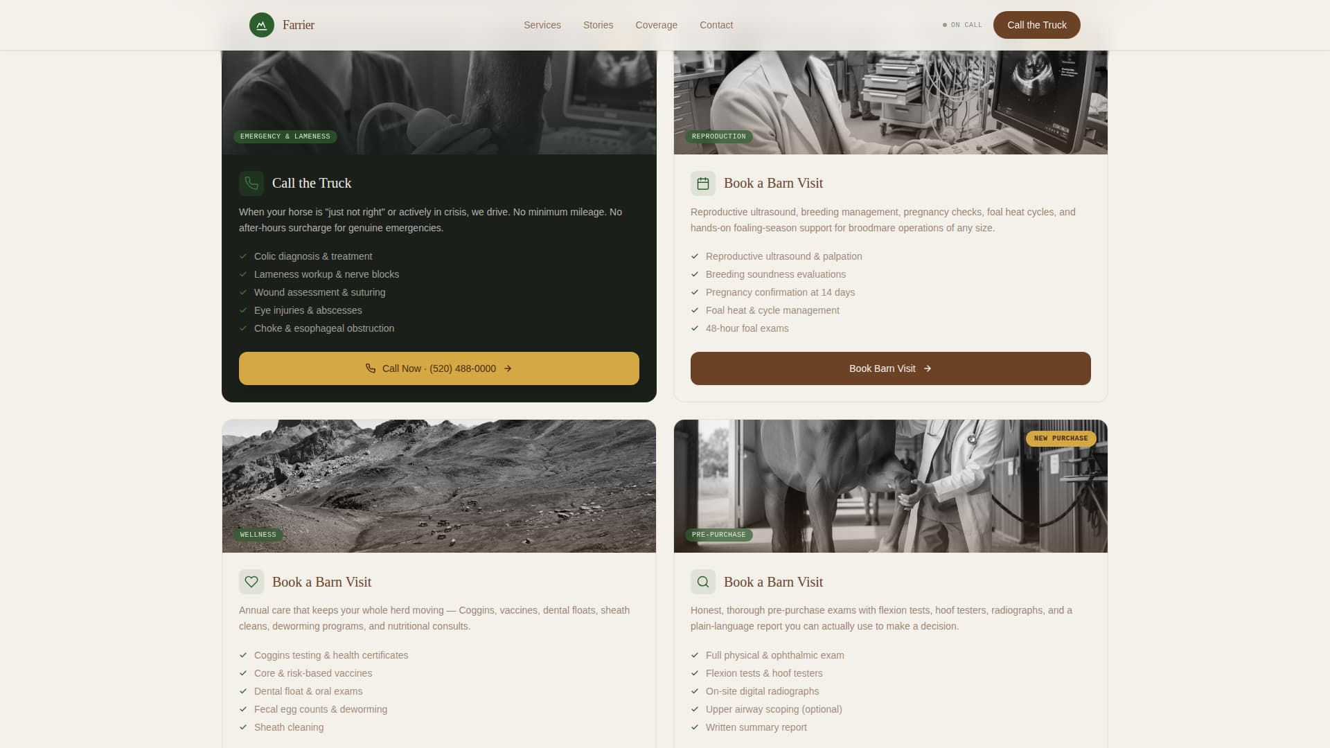 Horse & Equestrian Booking Website Template