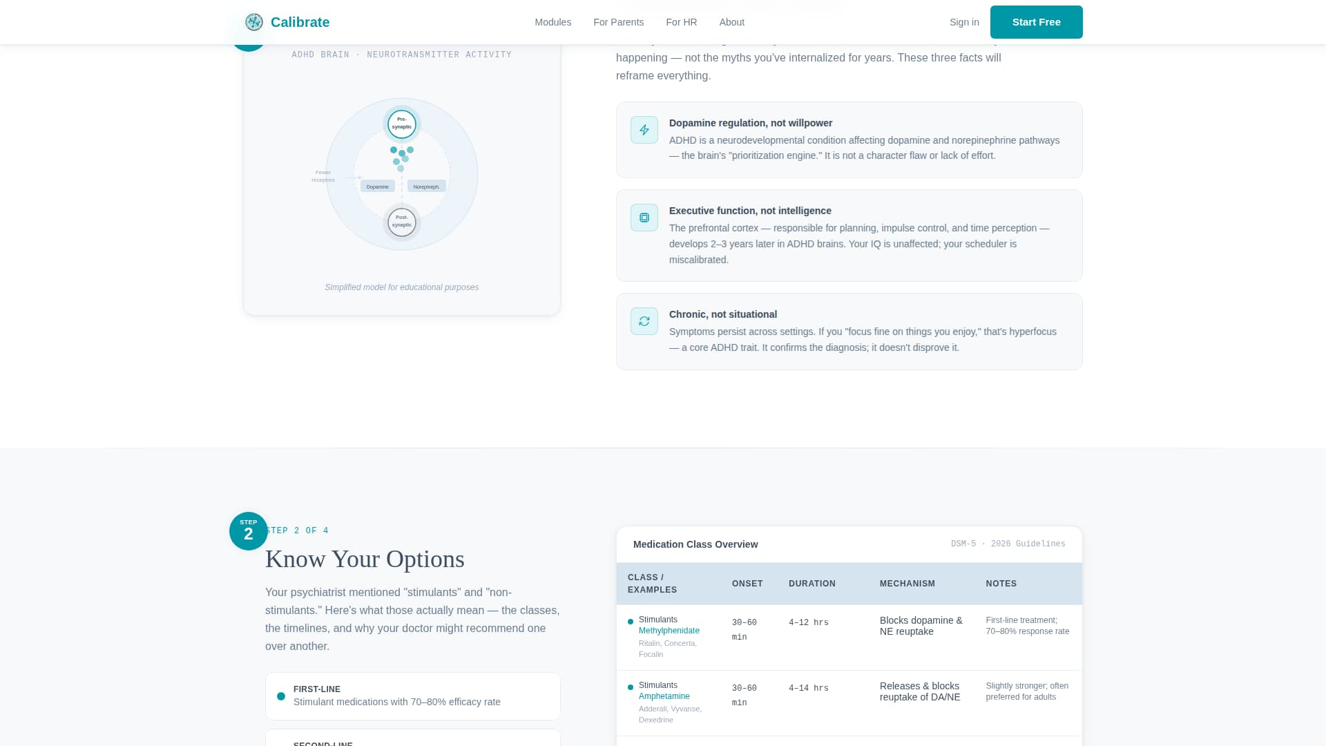ADHD Care Education Website Template
