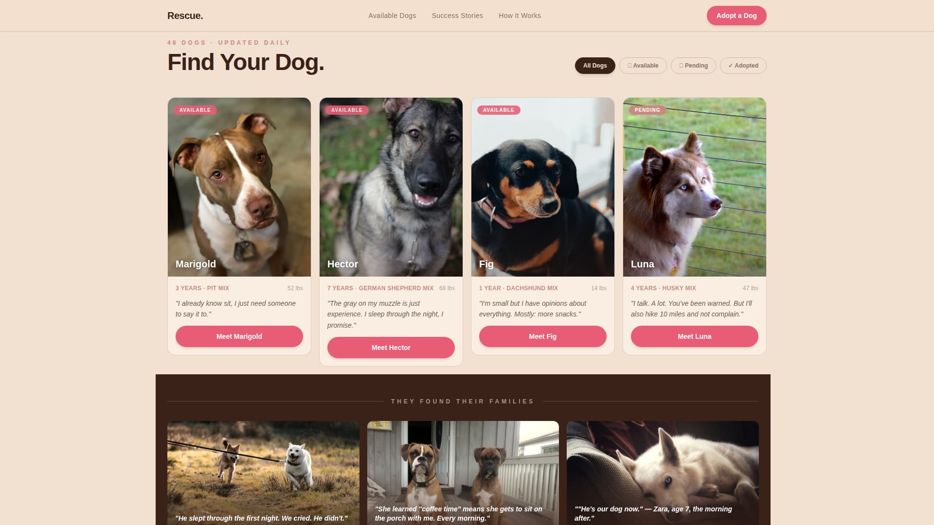 Pet Adoption & Rescue Professional Website Template