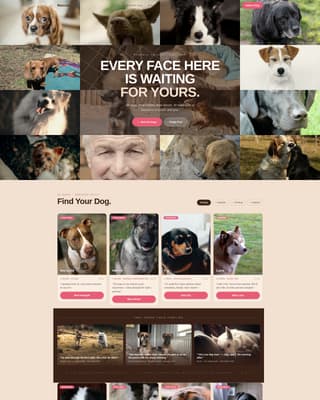 Pet Adoption & Rescue Professional Website Template
