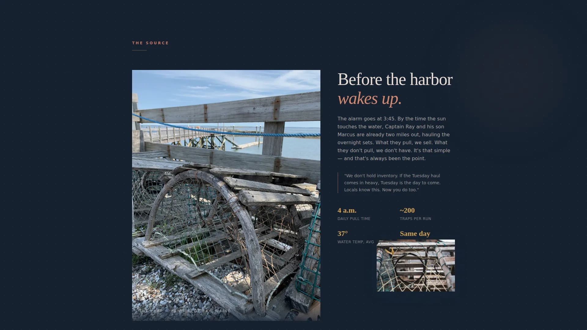 Harbor — Premium Seafood Shack Landing Page Template