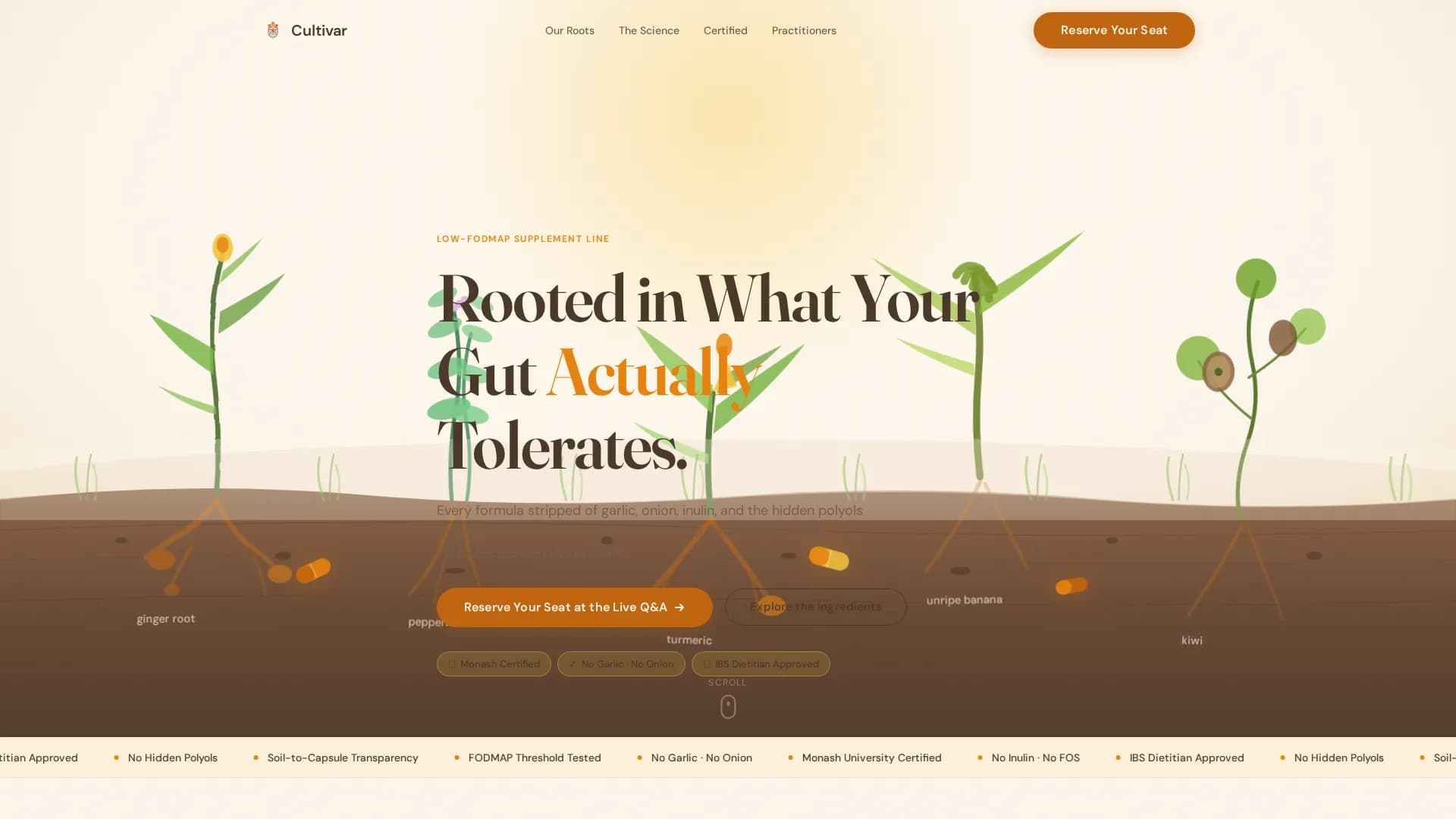 Root — Premium Botanical Wellness Landing Page Template