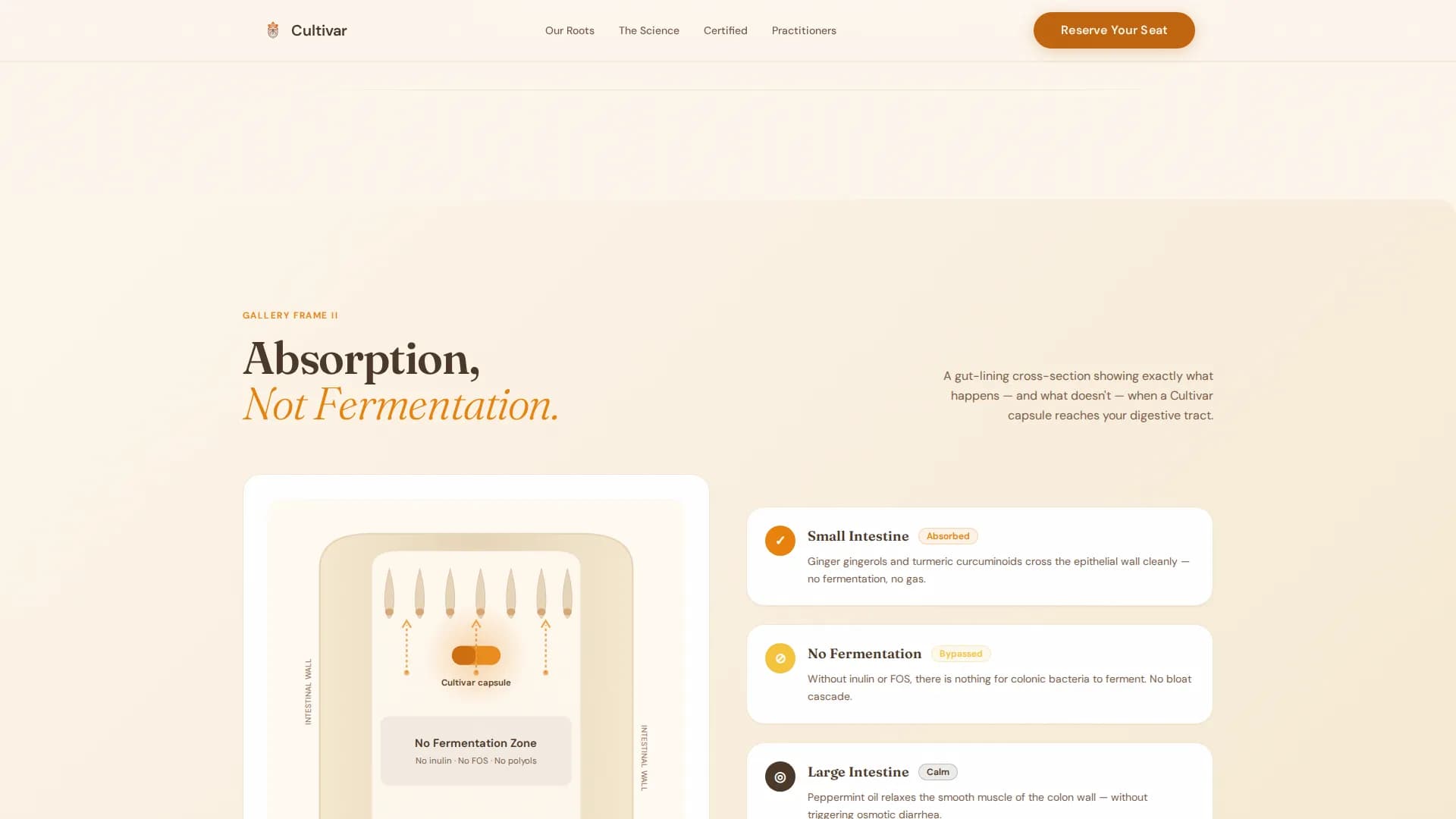 Root — Premium Botanical Wellness Landing Page Template