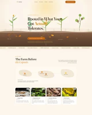 Root — Premium Botanical Wellness Landing Page Template