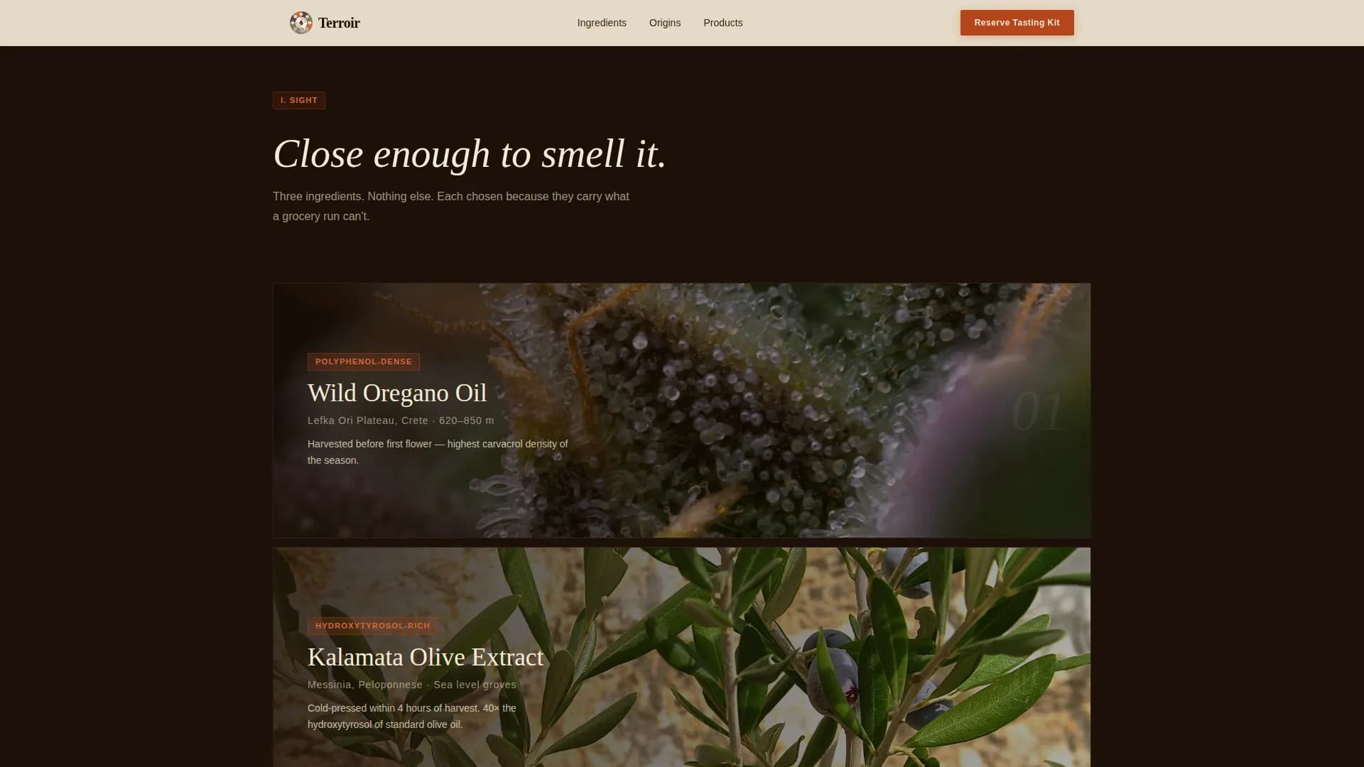 Palate — Mediterranean Wellness Event Landing Page Template