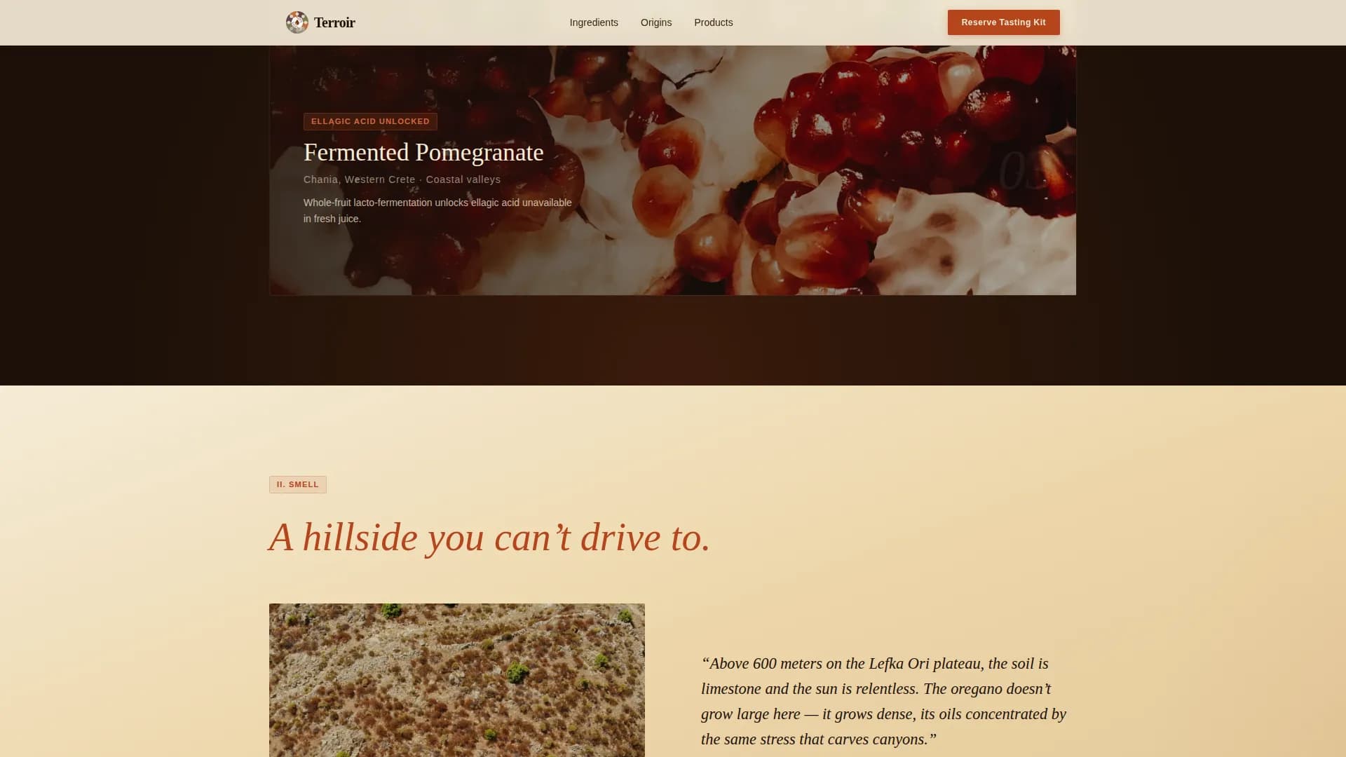 Palate — Mediterranean Wellness Event Landing Page Template