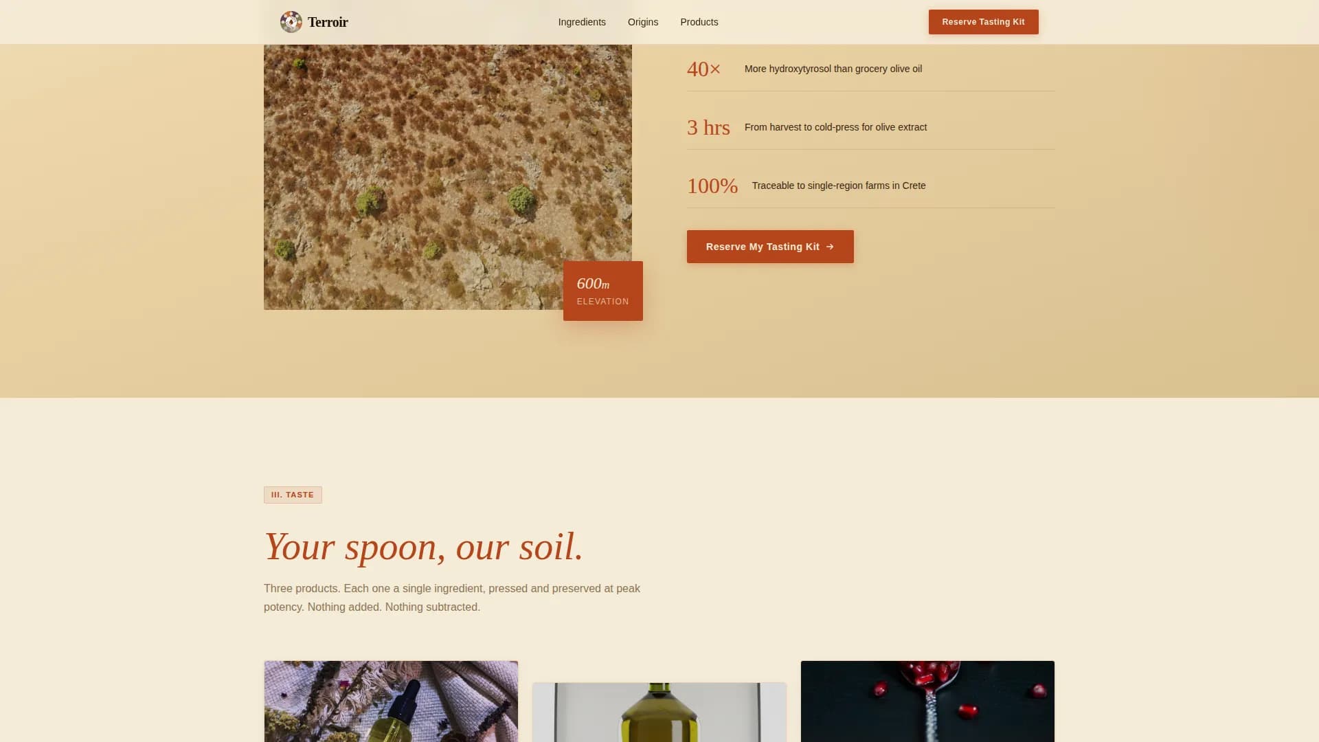 Palate — Mediterranean Wellness Event Landing Page Template
