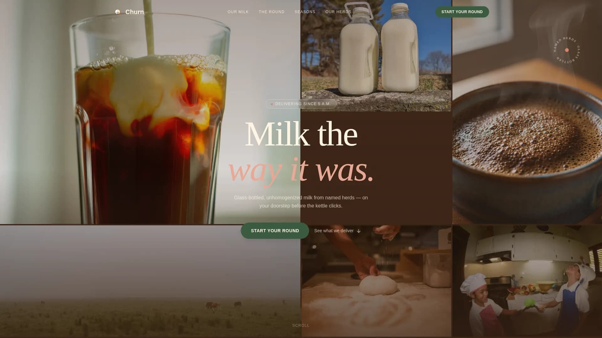 Churn — Premium Dairy Delivery Landing Page Template