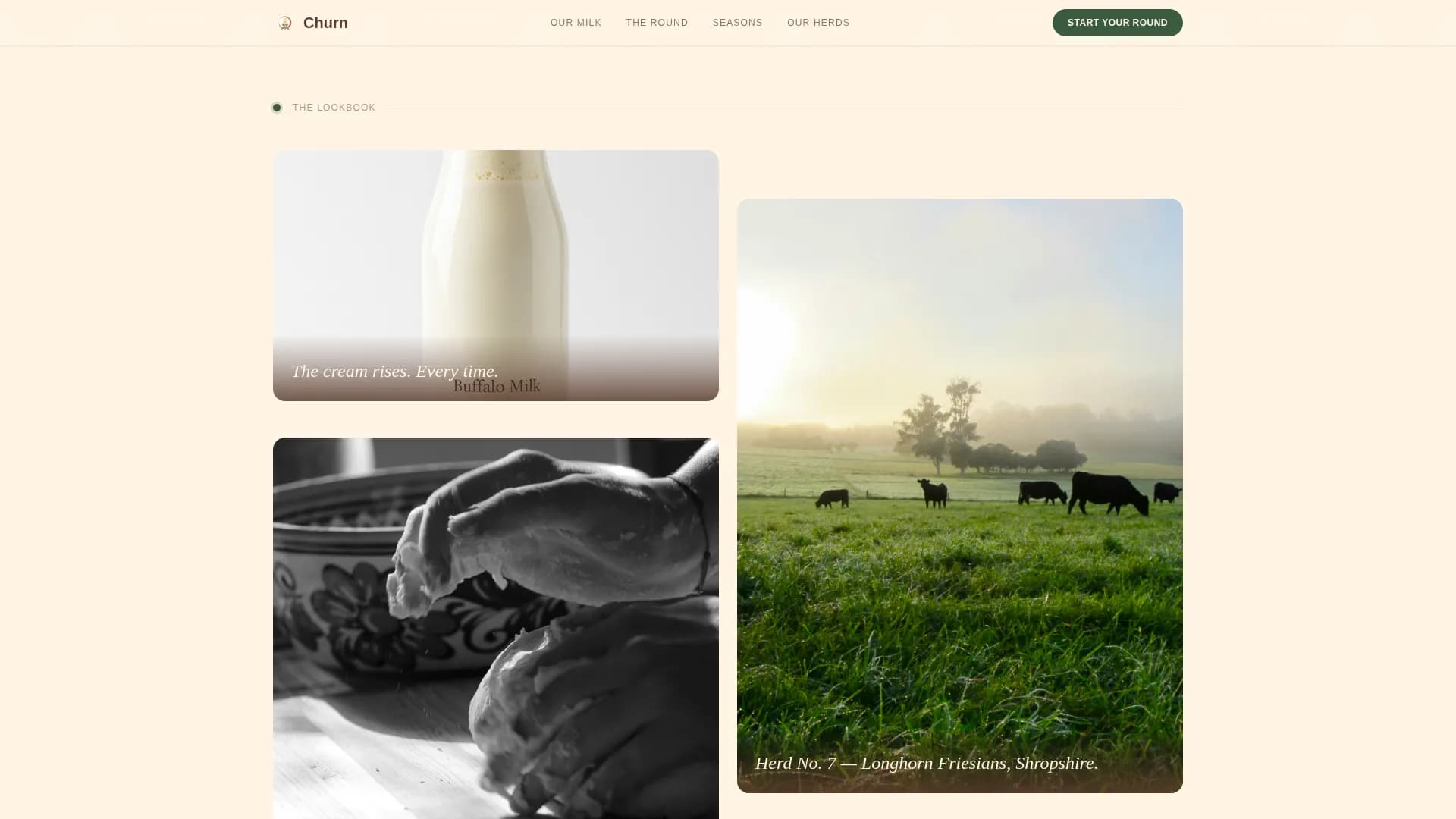 Churn — Premium Dairy Delivery Landing Page Template
