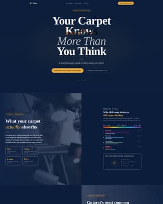 Fibres - Authoritative Carpetcleaning Landing Page Template