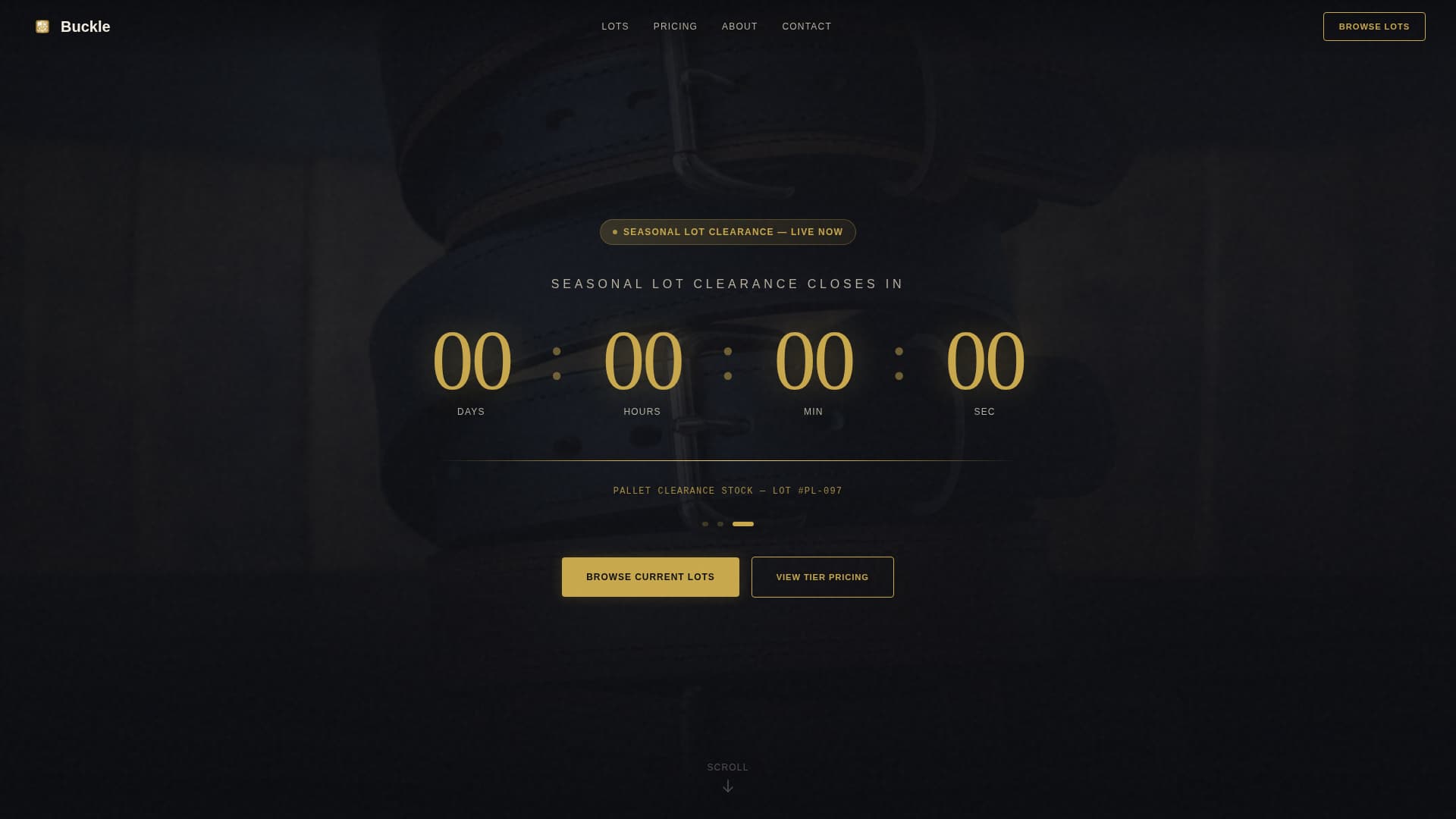 Belts & Suspenders Store Pricing Website Template