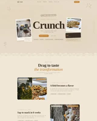Savory — Craft Snack Brand Landing Page Template