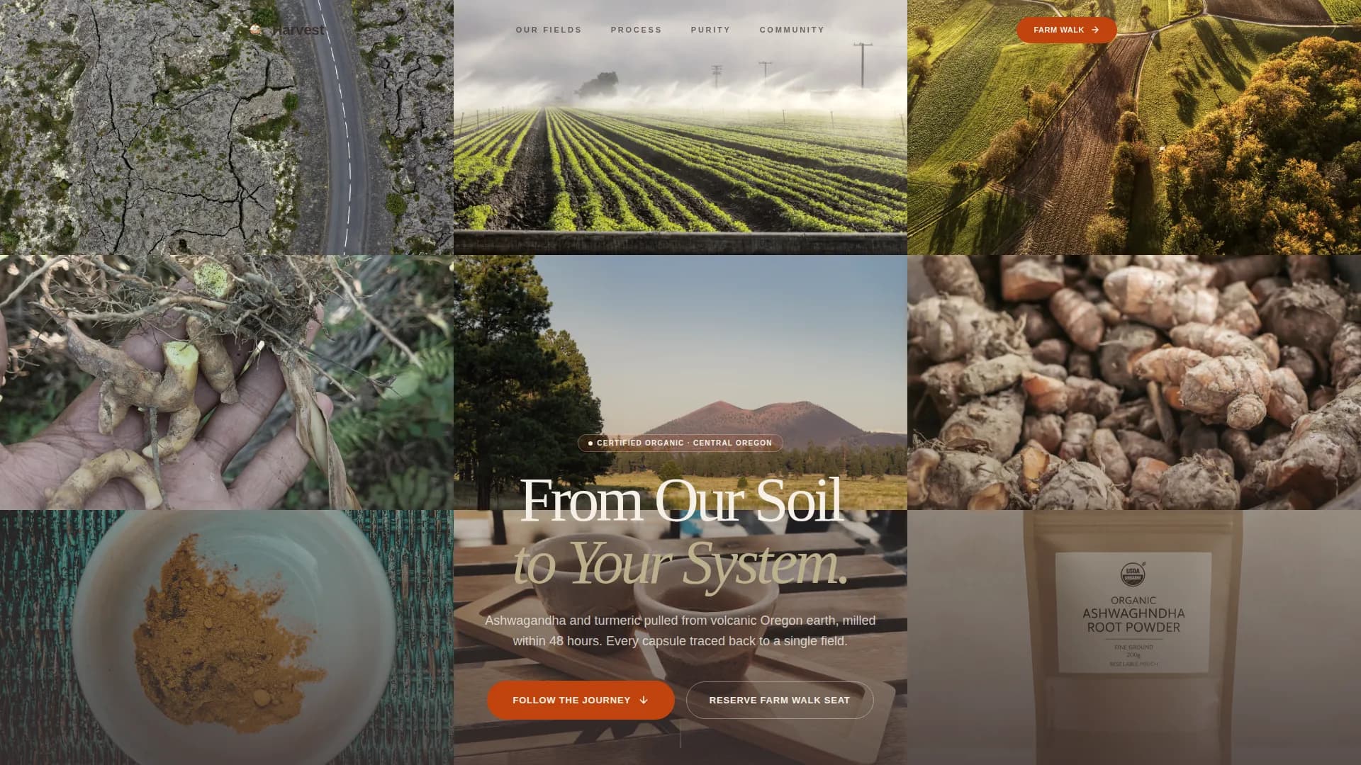 Vitality — Natural Supplement Landing Page Template