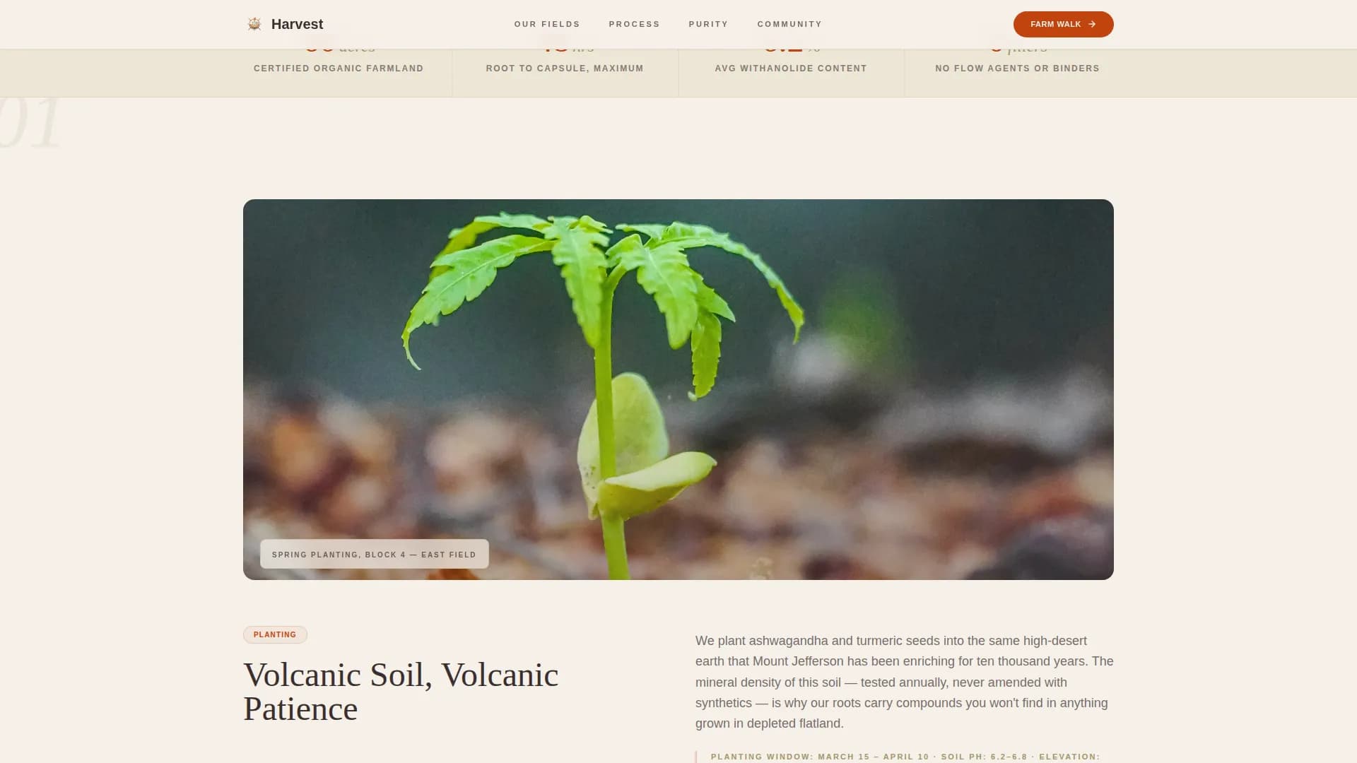 Vitality — Natural Supplement Landing Page Template