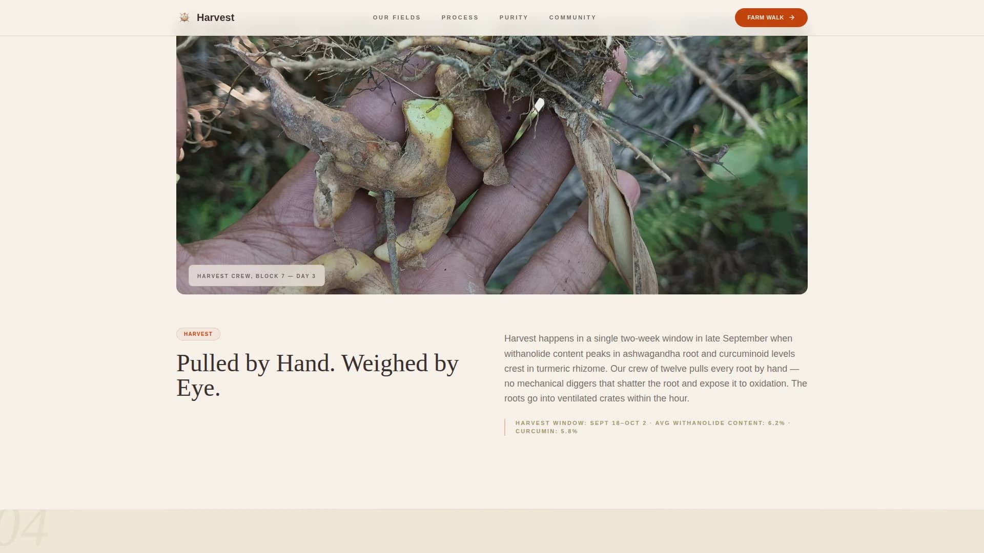 Vitality — Natural Supplement Landing Page Template