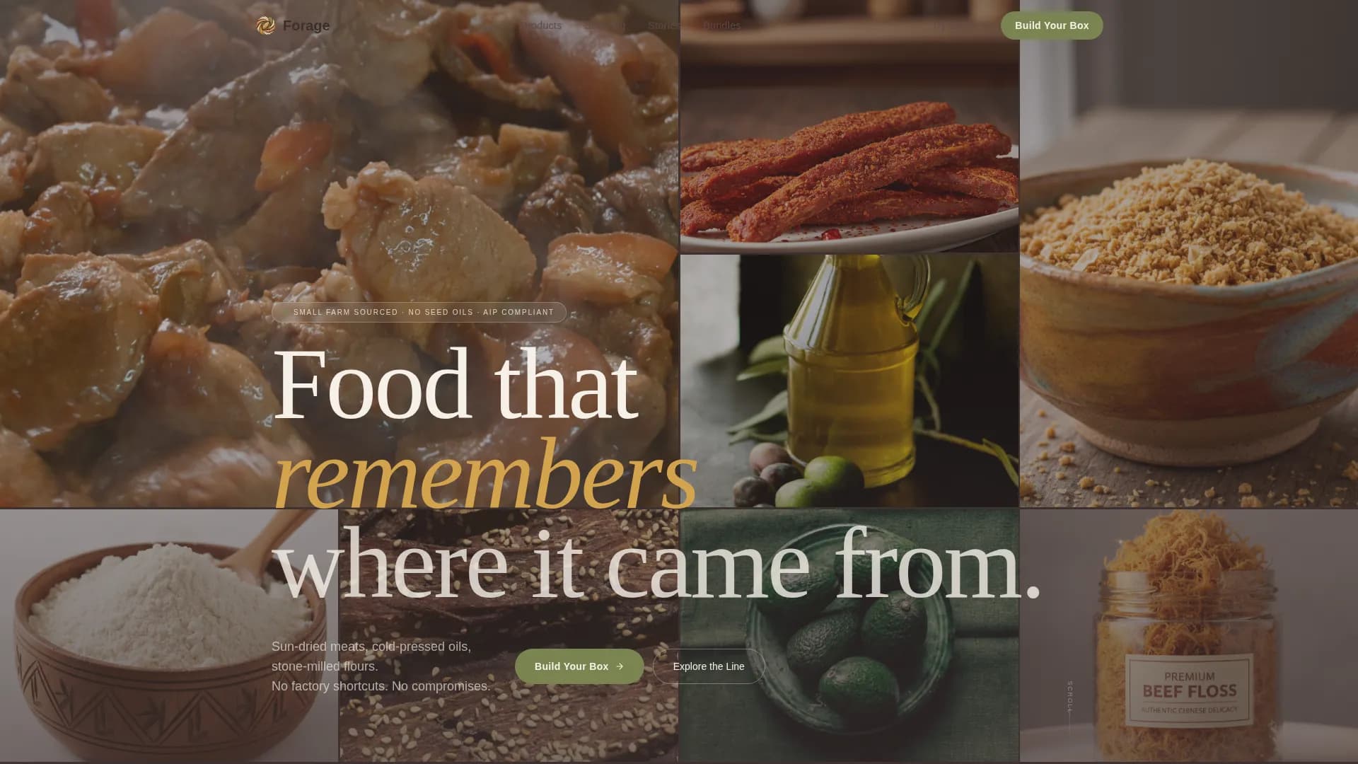 Root — Primal Food Brand Landing Page Template