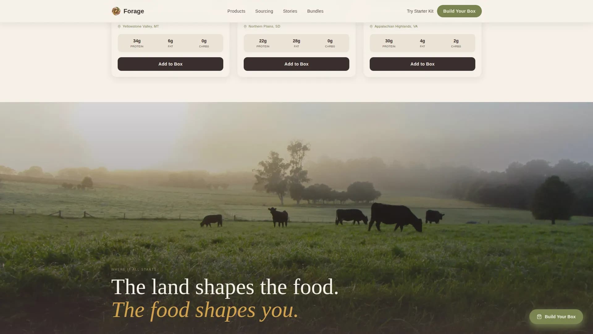 Root — Primal Food Brand Landing Page Template