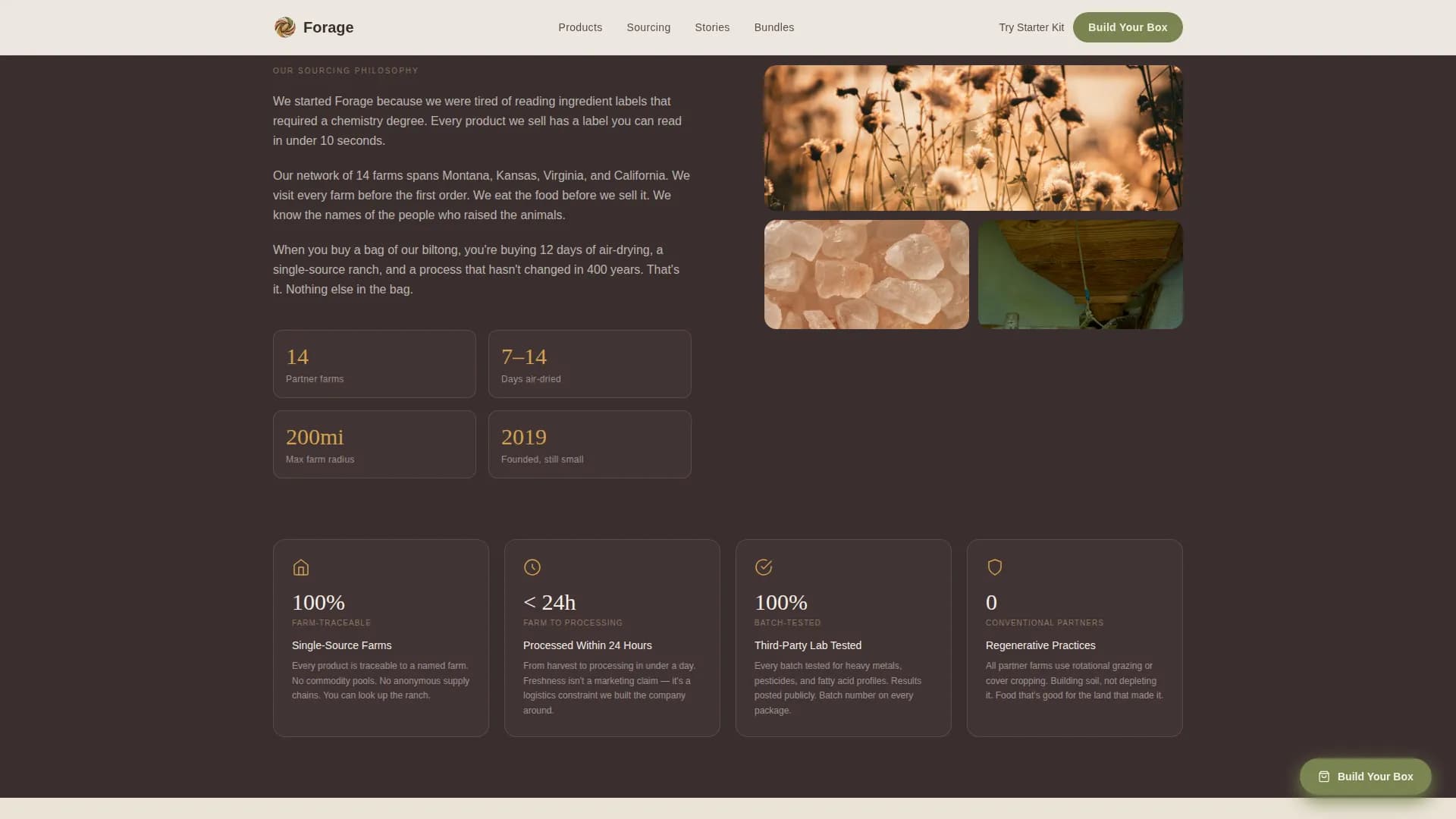 Root — Primal Food Brand Landing Page Template