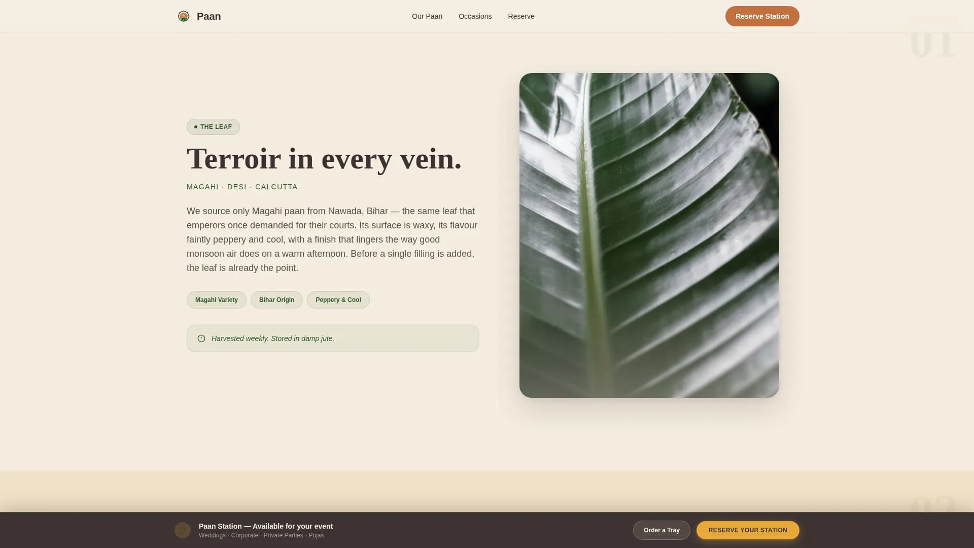 Spice — Heritage Betel Shop Landing Page Template