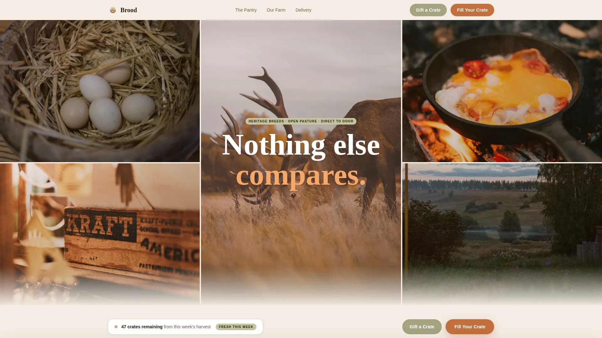 Poultry — Heritage Direct Farm Landing Page Template