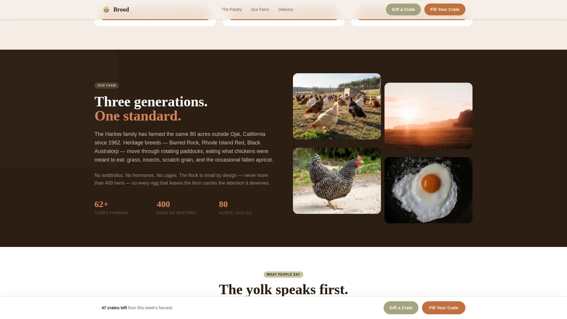 Poultry — Heritage Direct Farm Landing Page Template