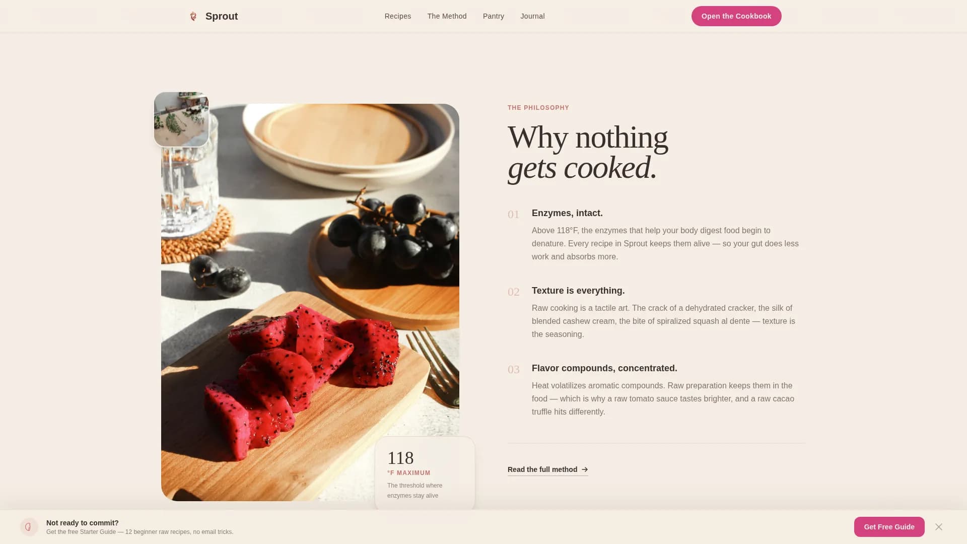 Raw Food Food & Dining Blog Website Template
