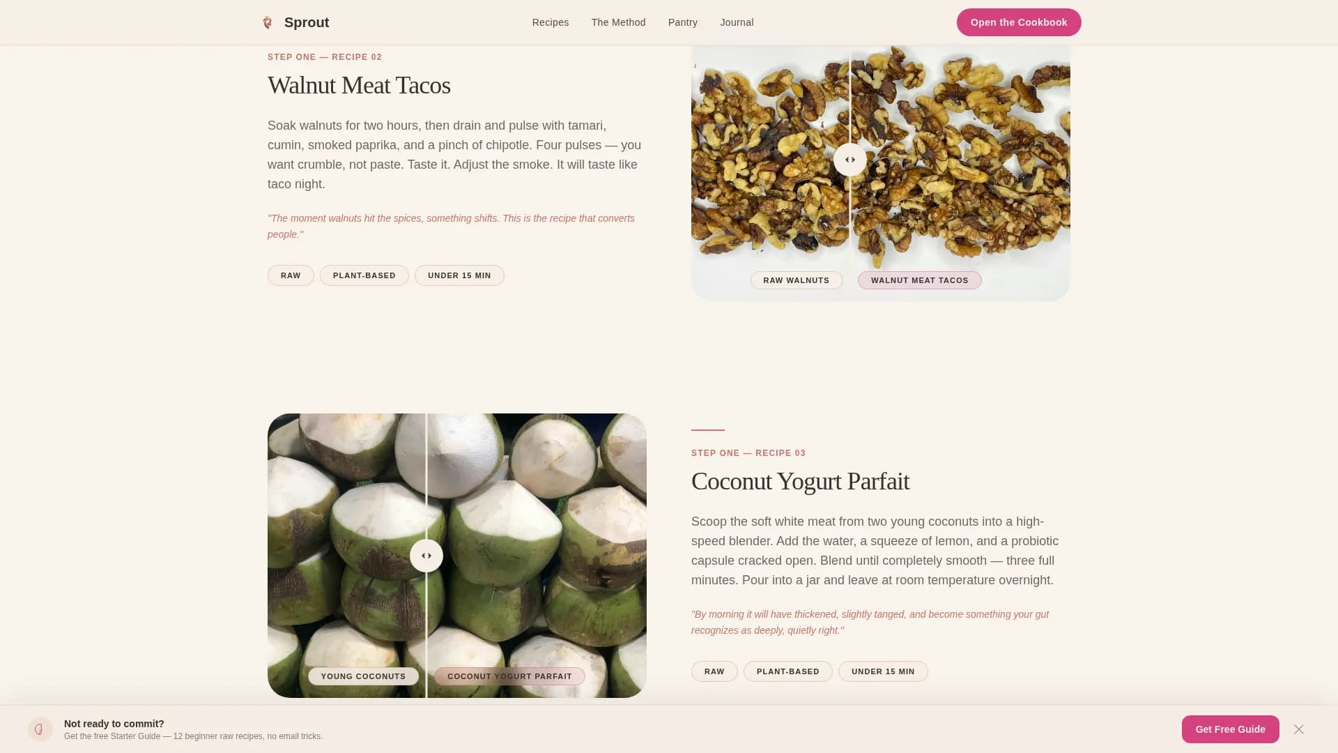 Raw Food Food & Dining Blog Website Template