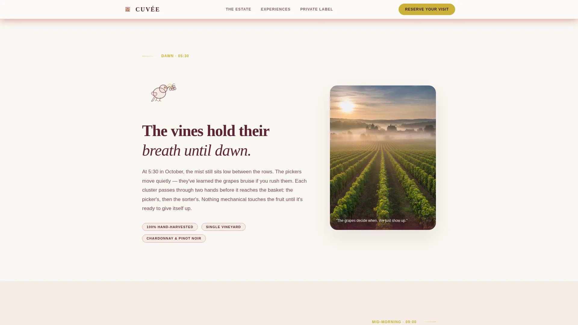 Cuve — Premium Sparkling Wine Landing Page Template