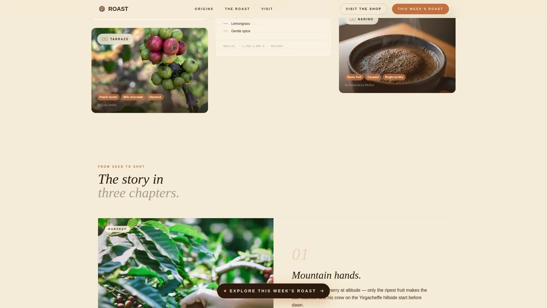 Specialty Coffee Roaster Origin Story & Direct Sales Website Template