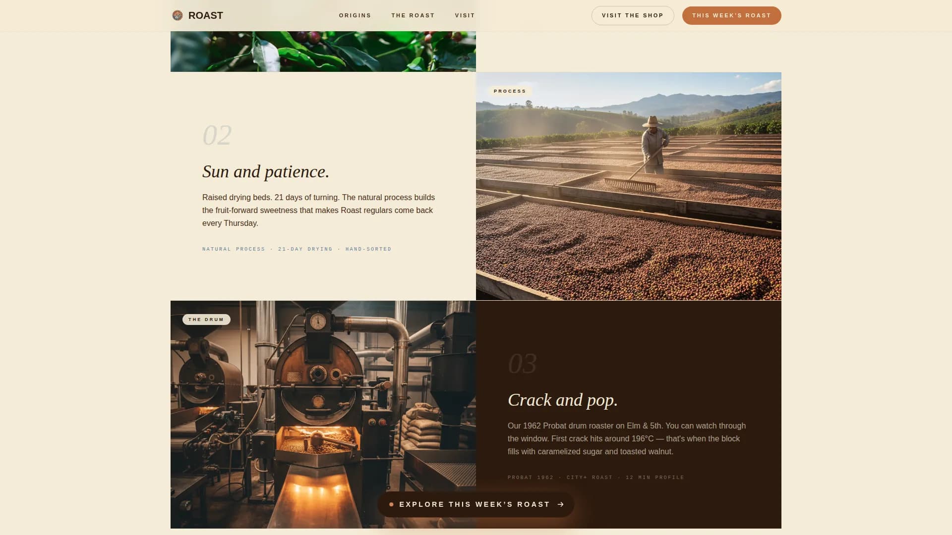Specialty Coffee Roaster Origin Story & Direct Sales Website Template